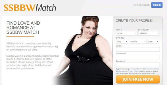 Screenshot of the SSBBW Match homepage